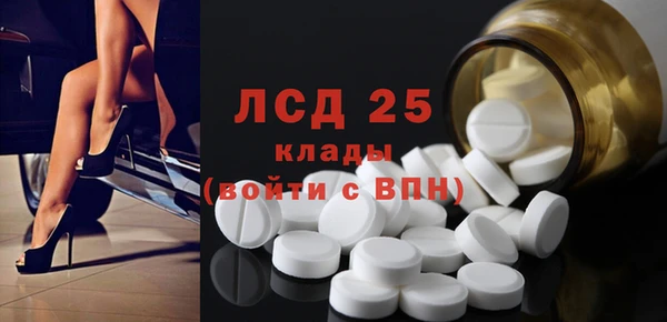 прущие грибы Богородицк