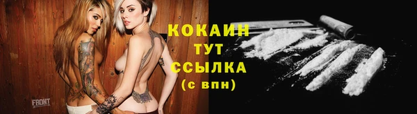 Альфа ПВП Бородино
