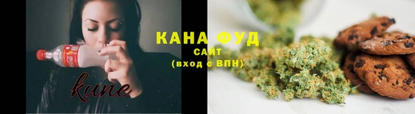 гидра Богородск