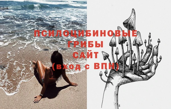 Альфа ПВП Бугульма