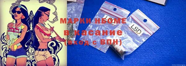 прущие грибы Богородицк