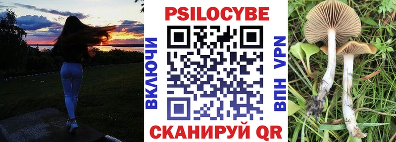Псилоцибиновые грибы Magic Shrooms Дагестанские Огни
